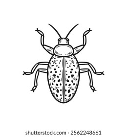 Hand Drawn Insects Illustration Colorless - Jewel Beetles