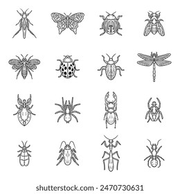 Hand Drawn Insects No Color Set