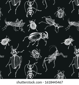 hand drawn insects patterns on transparent and black backgrounds