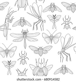 Hand drawn insects seamless pattern. Beetle, moth, butterfly, dragonfly, beetle, ant vector illustration. 