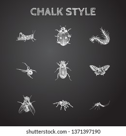 Hand drawn insects sketches set. Collection of ladybug, centipede, spider and other sketch elements.