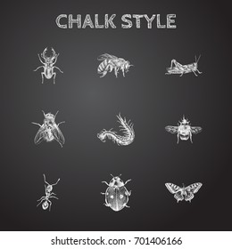 Hand Drawn Insects Sketches Set. Collection Of Ladybird, Herculeanus, Mantis And Other Sketch Elements.