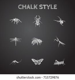 Hand Drawn Insects Sketches Set. Collection Of Gnat, Spider, Grasshopper And Other Sketch Elements.