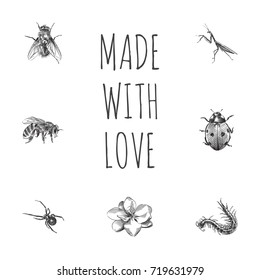 Hand Drawn Insects Sketches Set. Collection Of Worm, Housefly, Grasshopper And Other Sketch Elements.