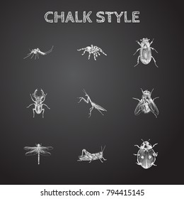 Hand Drawn Insects Sketches Set. Collection Of Insect, Ground Beetle, Spider And Other Sketch Elements.