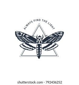 Hand drawn inspirational label with moth textured vector illustration and "Always find the light" lettering.