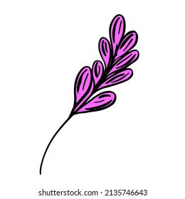 Hand drawn interior leaf. Plant sketch icon decor element. Botanical line art vector illustration