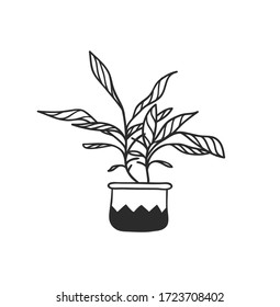 Hand drawn interior objecton white background.Vector Cozy Line Illustration. Creative art work. Doodle drawing home plant