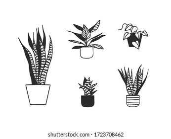 Hand drawn interior objecton white background.Vector Cozy Line Illustration. Creative art work. Doodle drawing home plant