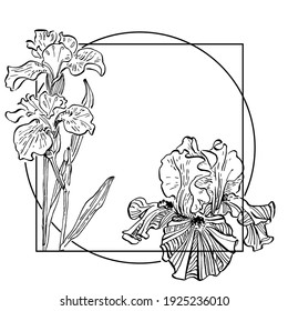 Logo floral de iris dibujado a mano, marco, borde, elemento promocional.