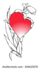Hand drawn iris flower with heart. Vector graphic art.