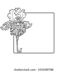 Hand drawn irises floral logo, frame, border, promo element. Brand emblem template. Minimalistic monogram. Rustic elegant trademark or logotypes background.
