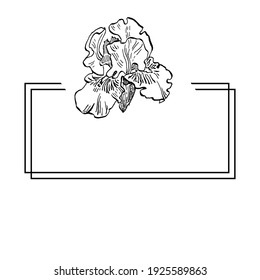 Hand drawn irises floral logo, frame, border, promo element. Brand emblem template. Minimalistic monogram. Rustic elegant trademark or logotypes background.