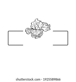 Hand drawn irises floral logo, frame, border, promo element. Brand emblem template. Minimalistic monogram. Rustic elegant trademark or logotypes background.