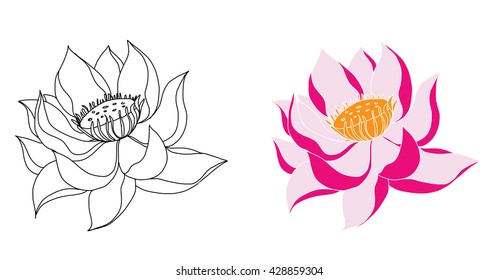 hand drawn isolate lotus flower