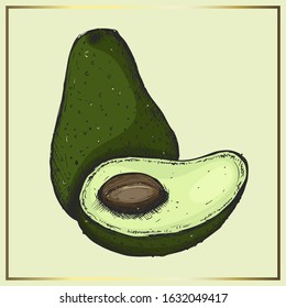 Hand drawn isolated avocado fruit on a pistachio-colored background with a golden frame and elements. Graphics style. Actual for design of restaurant menu, interior, tableware etc.