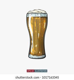 Hand drawn isolated beer glass. Engraved style. Template for your design works. Vector illustration.
