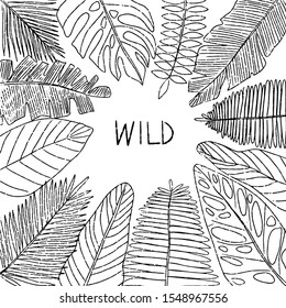 Hand drawn isolated botanical background/ frame. Outline simple vector illustration with tropical leaves