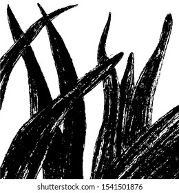 Hand drawn isolated botanical background/frame, vector illustration