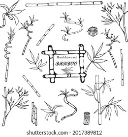 Montaje de botánica aislada a mano de hojas y ramas verdes de bambú.Estilo de doodle. Ilustración vectorial para textiles, papel de pared, postales, portaobjetos para portátiles.