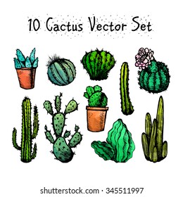 Hand Drawn Isolated Cactuses Set. Cactus in vintage style for textiles, print and etching. Line-art. Vector