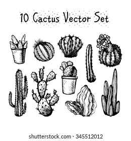 Hand Drawn Isolated Cactuses Set. Cactus in vintage style for textiles, print and etching. Line-art. Vector