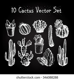 Hand Drawn Isolated Cactuses Set. Cactus in vintage style for textiles, print and etching. Line-art. Vector