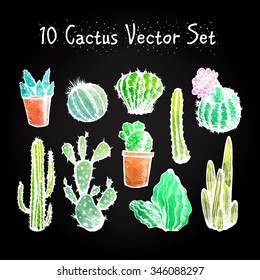 Hand Drawn Isolated Cactuses Set. Cactus in vintage style for textiles, print and etching. Line-art. Vector