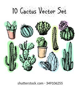 Hand Drawn Isolated Cactuses Set. Cactus in vintage style for textiles, print and etching. Line-art. Vector