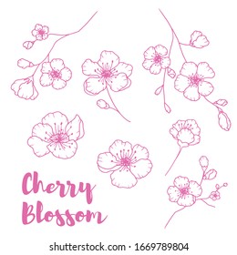 Dibujo manual aislado de la flor de cerezo. Esquema de conjunto de ilustraciones de flores sakura. Iconos de la línea de floración de Sakura. Conjunto de ilustraciones del paisaje floral botánico. 