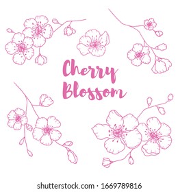 Hand drawn isolated cherry blossom illustration. Outline sakura flowers illustration set. Sakura blossom line icons. Botanical flowerscape illustration set. 