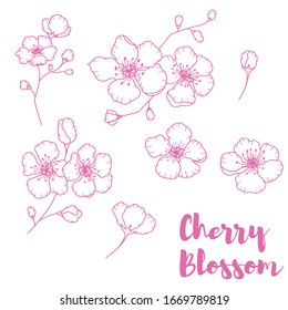 Hand drawn isolated cherry blossom illustration. Outline sakura flowers illustration set. Sakura blossom line icons. Botanical flowerscape illustration set. 
