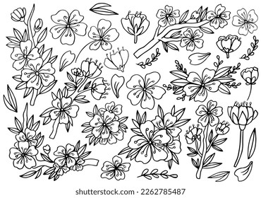 Hand drawn isolated cherry blossom illustration. Outline sakura flowers illustration set. Sakura blossom line icons. Botanical flowerscape illustration set.