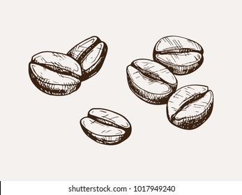 Hand Drawn Isolated Coffee Beans