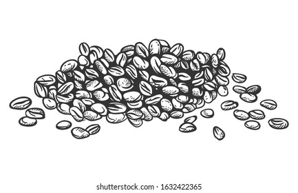 hand drawn isolated coffee beans