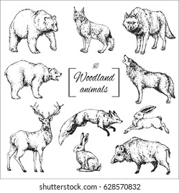 contorno aislado hecho a mano de los animales de las tierras boscosas: lobo, oso, ciervo, zorro, jabalí, linx