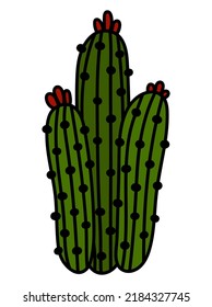 Hand Drawn Isolated Cute Green Cactus. Vector Doodle Cactus Sticker Illustration Clipart