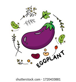 Hand drawn isolated eggplant on white background. Vegetarian food design for shop, book, menu, poster, banner. Vector sketch illustration