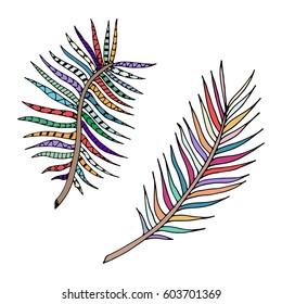Hand drawn isolated fern. Tropical vector elements.