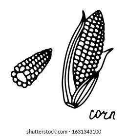 Hand Drawn Isolated Food Icon. Black Outline Illustration Of Vegetable. Corn Icon. Corn On The Cob.