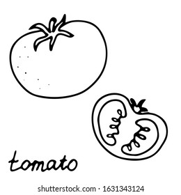 Hand drawn isolated food icon. Black outline illustration of vegetable. Tomato icon.