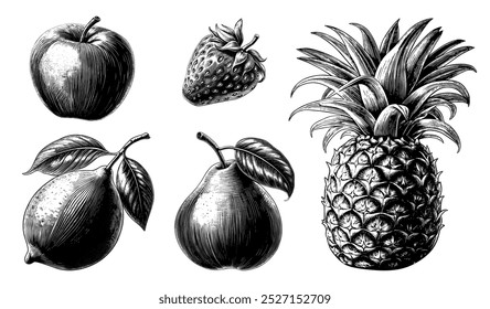 Hand drawn isolated fruits. Vector set of vintage botanical sketch engraving food illustrations for packaging, markets, shops