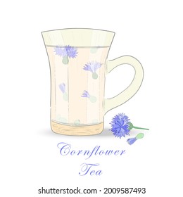 Copa de Vidrio Aislado con Té de hierbas. Té de hierbas con flores de Cornflower. Copa de Vidrio Transparente. Ilustración vectorial para uso web e impresión.