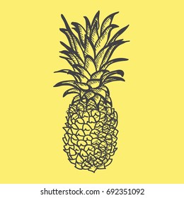 hand drawn isolated graphic pineapple icon with summer background, vector illustration