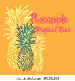 handgezeichnet, einzelne grafische Ananas Symbol mit Sommerhintergrund, Vektorgrafik