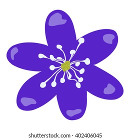 Hand drawn and isolated  "Hepatica" flower (or Liverleaf, Liverwort) with blue petals and white stamens on white background - Eps10 Vector graphics and illustration