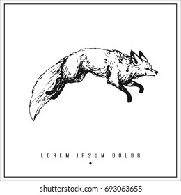 hand drawn isolated illustration with fox and place for your text. minimalism vintage  invitation, label or card