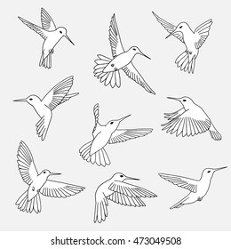 8,628 Hummingbird Line Art Images, Stock Photos & Vectors | Shutterstock