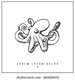 hand drawn isolated illustration with octopus and place for your text. minimalism vintage  invitation, label or card