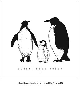 hand drawn isolated illustration with penguin and place for your text. minimalism vintage  invitation, label or card